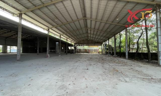 🌠 HOT!Cho thuê xưởng 3000m2 giá rẻ Thiện Tân, Vĩnh Cửu chỉ 80tr