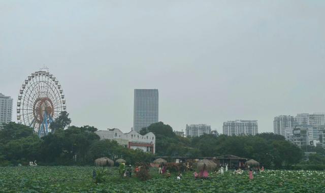 Bán nhà tại Hồ Tây - Đặng Thai Mai DT 220m2 - MT 9m