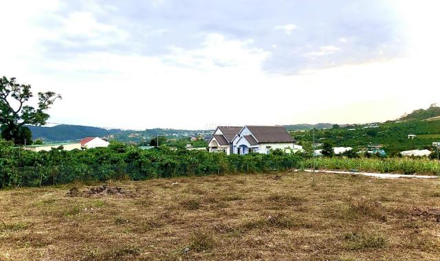Bán 4 sào đất Mê Linh, 2 mặt tiền đường, sẵn 1800m2 thổ cư