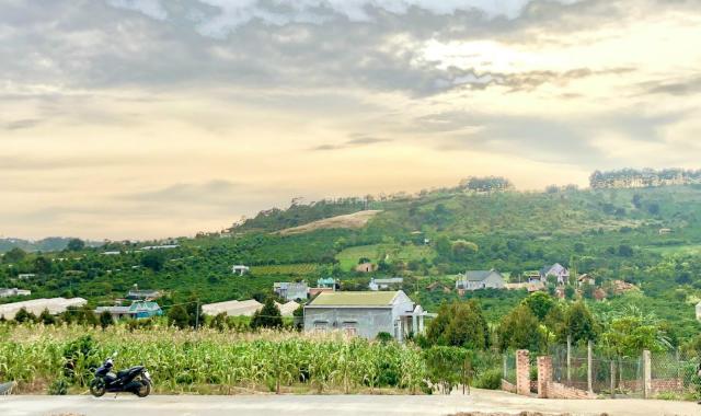Bán 4 sào đất Mê Linh, 2 mặt tiền đường, sẵn 1800m2 thổ cư