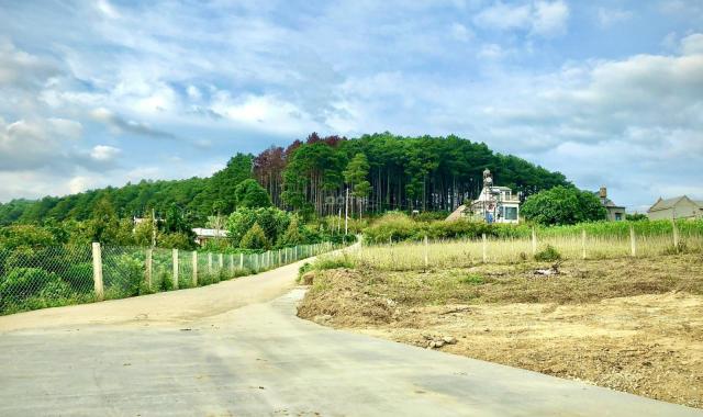 Bán 4 sào đất Mê Linh, 2 mặt tiền đường, sẵn 1800m2 thổ cư