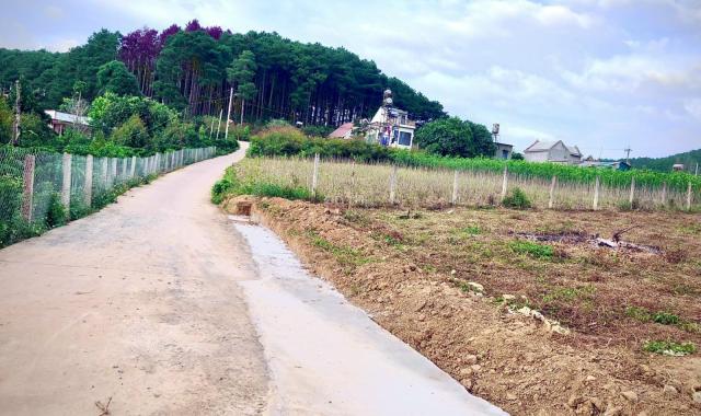 Bán 4 sào đất Mê Linh, 2 mặt tiền đường, sẵn 1800m2 thổ cư