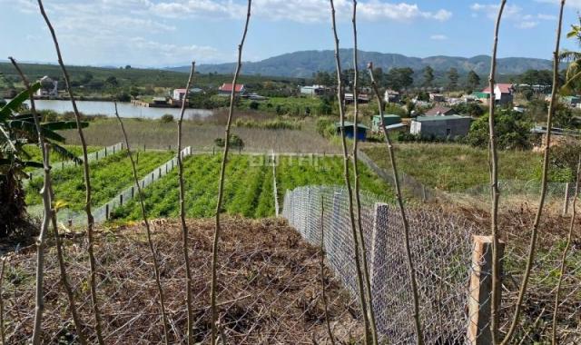 CÁCH DT725 100M, CẦN BÁN LÔ ĐẤT VIEW HỒ CỰC ĐẸP