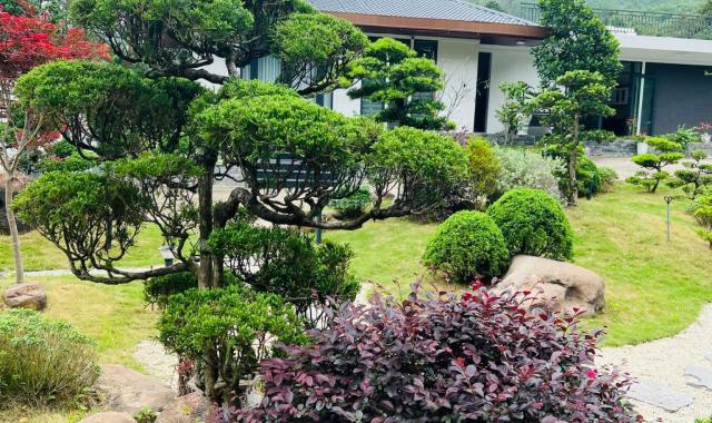 BÁN BIỆT THỰ SÂN VƯỜN HOÀNH BỒ,TP.HẠ LONG DIỆN TÍCH : 2000M2 SIÊU ĐẸP !!!