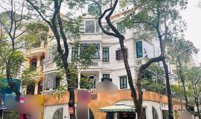Chính chủ cần bán Lô Góc biệt thự CaFe Hồ Văn Quán