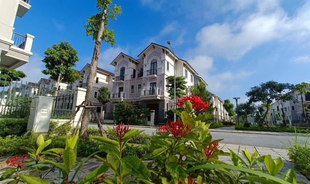 Nhanh tay bắt đáy thị trường BĐS Centa Vsip Từ Sơn