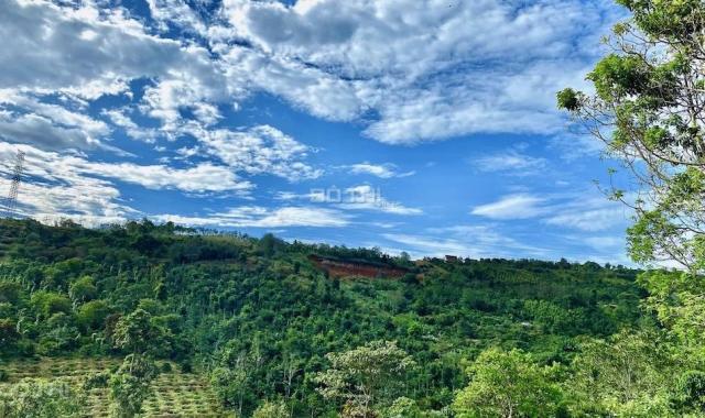 CHÍNH CHỦ CẦN BÁN GẤP 9 SÀO ĐẤT TẠI THÔN ĐĂK SOUN - ĐĂK NÔNG GIÁ CỰC KỲ RẺ CHỈ 96TR/SÀO