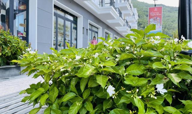 Bán nhà phố 4 tầng, đường Chế Lan Viên, giá đất 58 triệu/m2. LH 0931914941