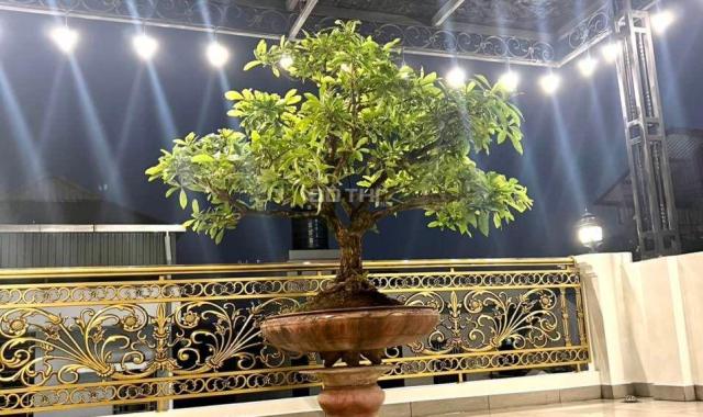 Hiếm lắm! SIÊU KD Mặt đường Nguyễn Văn Cừ! DÒNG TIỀN KHỦNG, 112m2, 6T, GIÁ 2x tỷ