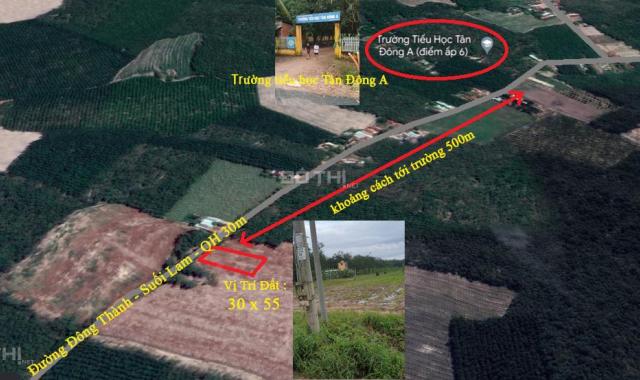 Ngộp lãi ngân hàng cần bán gấp đất đường nhựa 30m, tại xã Tân Đông,Tân Châu.