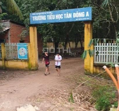 Ngộp lãi ngân hàng cần bán gấp đất đường nhựa 30m, tại xã Tân Đông,Tân Châu.