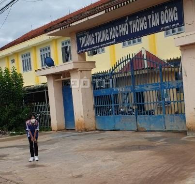 Ngộp lãi ngân hàng cần bán gấp đất đường nhựa 30m, tại xã Tân Đông,Tân Châu.