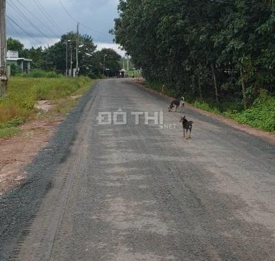 Ngộp lãi ngân hàng cần bán gấp đất đường nhựa 30m, tại xã Tân Đông,Tân Châu.
