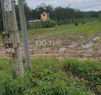 Ngộp lãi ngân hàng cần bán gấp đất đường nhựa 30m, tại xã Tân Đông,Tân Châu.