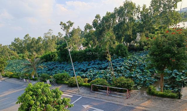 Bán nhà ven sông sen tự nhiên rất đẹp và thơ mộng.