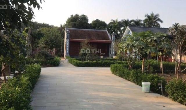 Chính chủ bán nhanh 2000m2 đất sẵn khuôn viên tại Phú Cát, Quốc Oai. Giá nhỉnh 21 tỷ. Sổ đỏ cất két