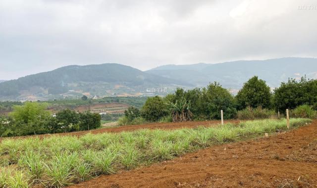 CÁCH NHỰA 800M, CẦN BÁN LÔ ĐẤT ĐÔNG THANH SẴN 100M2 THỔ CƯ, CHỈ 1.1 TỶ