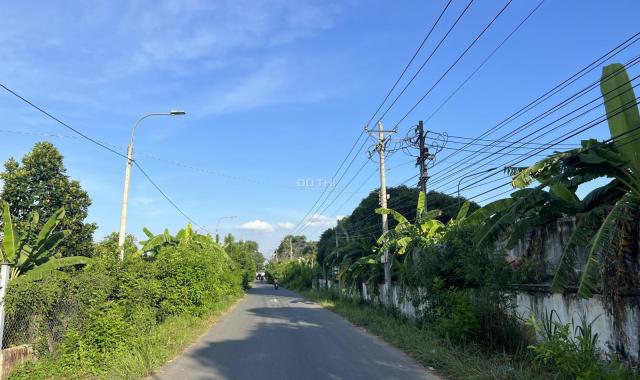 Bán 1000m2 MT Bình Hoà - Cây Dương giá 4,5 tỷ SHR view sông Đồng Nai đường rộng thoáng làm nhà vườn