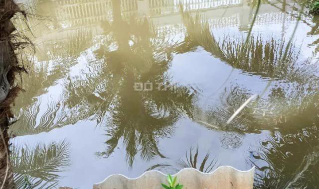 Bán Nhà vườn Bình Chánh 876m2 27x32, thích hợp homestay nghỉ dưỡng, giá siêu đầu tư 5.6 tỷ TL
