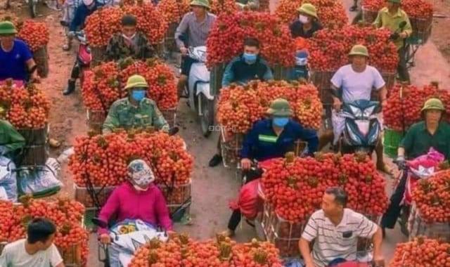Nhà giảm giá bán gấp giá rẻ Nguyễn Xiển 96m, 1.5 tầng, hai mặt tiền 4m, 25.3 tỷ phường Hạ Đình
