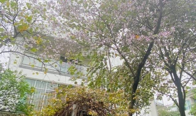 Cho Thuê Nhà Liền Kề Biệt Thự ParkCity
