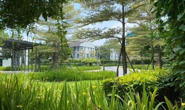 Cho Thuê Nhà Liền Kề Biệt Thự ParkCity