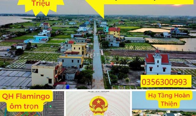 Bán Đất Thổ Cư Quất Lâm Giao Thuỷ Nam Định