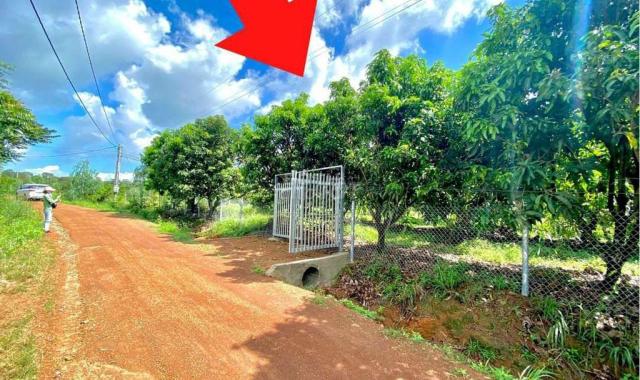 Bán vườn trái cây Định Quán, Đồng Nai. Giá 625tr