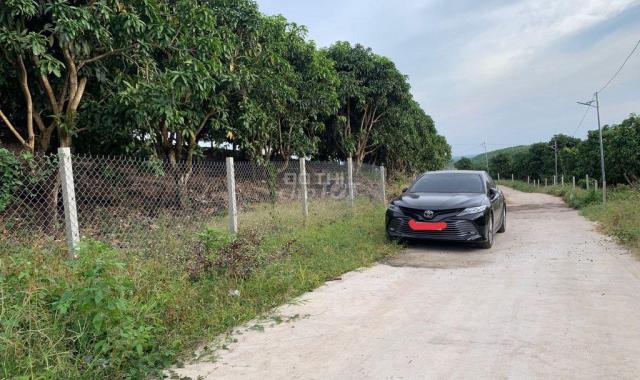 Bán vườn trái cây Định Quán, Đồng Nai. Giá 625tr