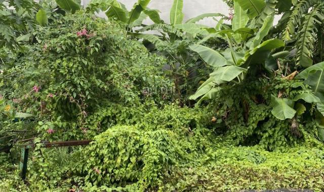 Bán đất biệt thự An Phú dự án KDC Văn Minh đường Mai Chí Thọ Q.2 (253.4m2) 40 tỷ Lh. 0909 972 783