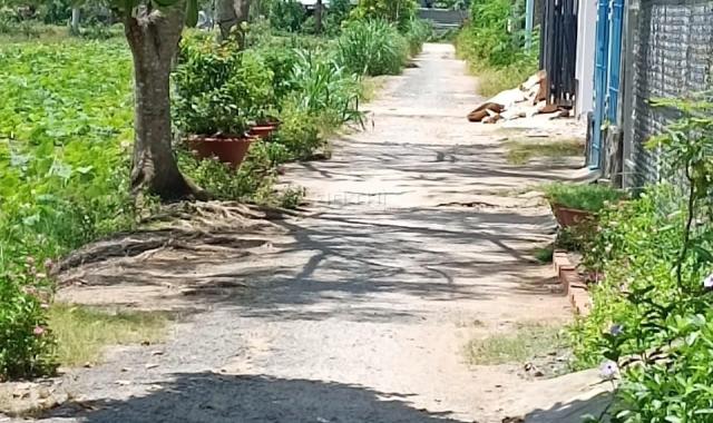 CHÍNH CHỦ CẦN BÁN ĐẤT Ô TÔ VÀO TẬN ĐẤT VIEW HỒ SEN.