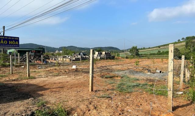 HOT : Bán đất mặt tiền thuộc xã Phú Hội (mặt đường chính KaNai)- Mặt tiền 20m x 110 chiều dài
