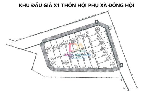 Bán đất đấu giá Đông Hội Đông Anh gần Vinhomes Cổ Loa