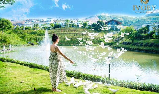 Bán biệt thự dự án Ivory Resort Hòa Bình