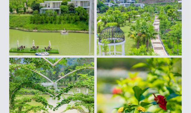 Bán biệt thự dự án Ivory Resort Hòa Bình