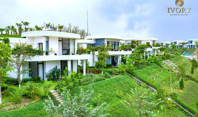 Bán biệt thự dự án Ivory Resort Hòa Bình