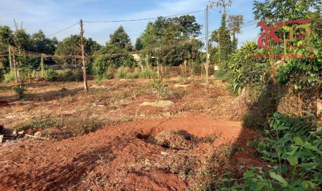 💥Mừng World Cup Nữ Bán đất 3500m2 xã Hàng Gòn TP Long Khánh chỉ 7 tỷ