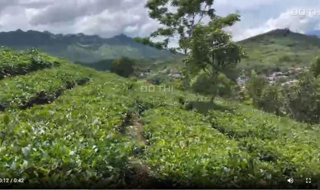 BÁN LÔ ĐẤT RỘNG ĐẸP TẠI TIỂU KHU 1/5 CHIỀNG SƠN, MỘC CHÂU,  SƠN LA - GIÁ RẺ BẤT NGỜ