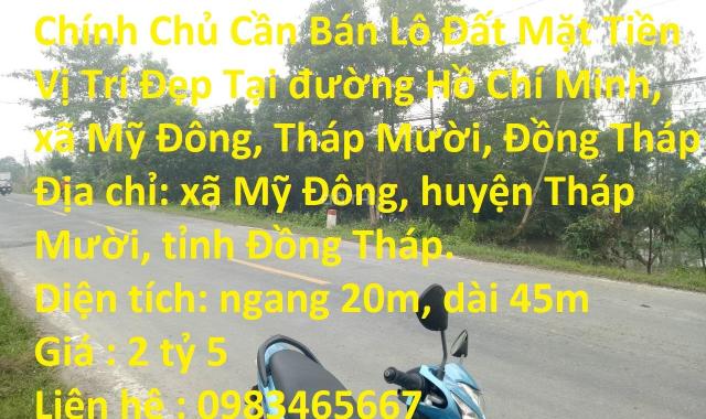 Bán đất tại Xã Mỹ Đông, Tháp Mười, Đồng Tháp diện tích 900m2