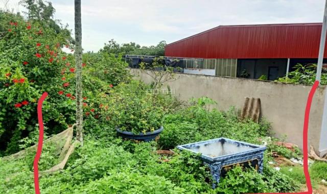 Cần tiền bán nhanh lô đất gốc dân chia được 2 lô làm sân cổng riêng tại Cát Khê- Tràng Cát