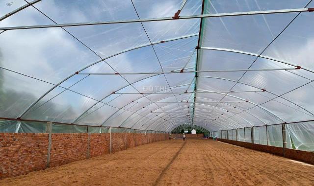 CHÍNH CHỦ BÁN NHÀ XƯỞNG RỘNG TẠI TÂN MỸ, BA TRI, BẾN TRE - GIÁ RẺ BẤT NGỜ