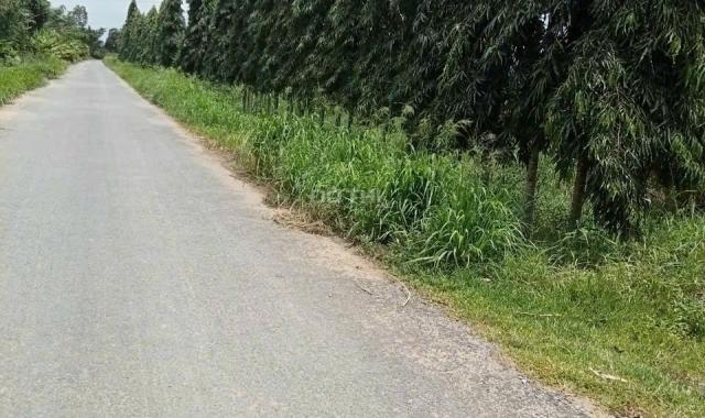 CHÍNH CHỦ BÁN NHÀ XƯỞNG RỘNG TẠI TÂN MỸ, BA TRI, BẾN TRE - GIÁ RẺ BẤT NGỜ