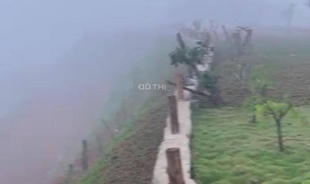 Cần bán đất nhà ở Tân Lạc, Bảo Lâm. Giá sàn cạnh tranh nhất khu vực, cách ủy ban nhân dân Tân Lạc 9