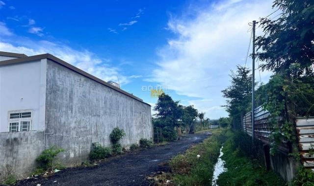 Bán 2 sào vườn siêu đẹp dừa thôn 8, cưebur giá 800tr/ sào