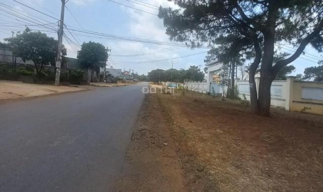 TÔI CẦN BÁN LÔ ĐẤT ĐƯỜNG TRƯỜNG SA