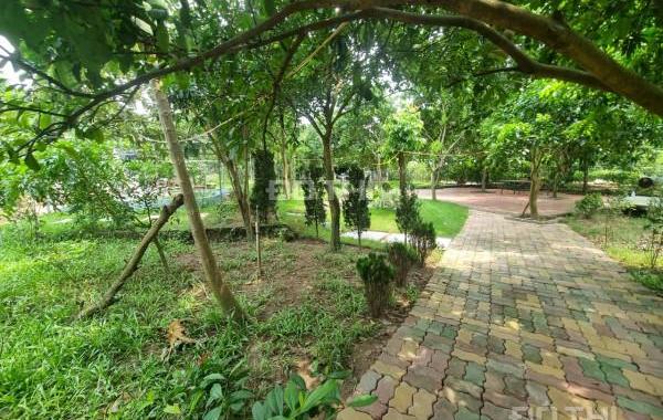 Cho thuê nhà vườn ở gần Bãi Đã 3400m2 đẹp như ảnh để nghỉ dưỡng hoẵ YoGa Sinh thái