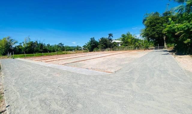 Gia đình mình cần tiền nên bán lô đất gấp - diện tích 139m2