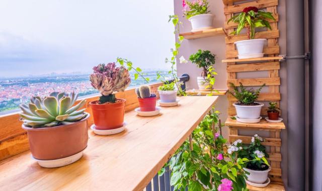 Căn 2 Ngủ Chỉ với 354 triệu sở hữu ngay tại Vinhomes Ocean Park