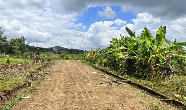 Bán Đất 2,4ha thôn 8 Cưêbur view ruộng giá rẻ 420tr/sào