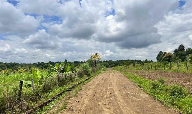 Bán Đất 2,4ha thôn 8 Cưêbur view ruộng giá rẻ 420tr/sào